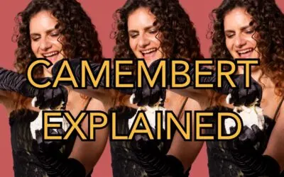 Camembert Explained